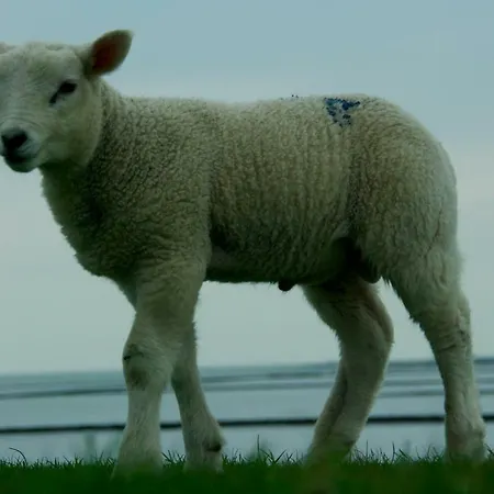 Sirius Hébergement de vacances Simonsberg