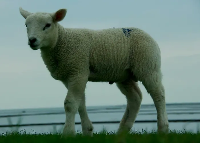 Sirius Vakantiehuis Simonsberg